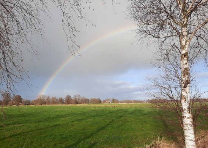 Elmshorn: Der erste Regenbogen