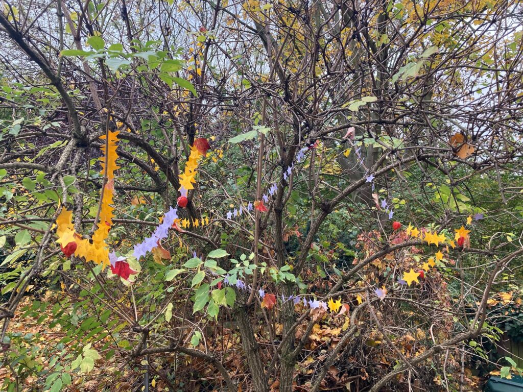 Der Sternenbaum