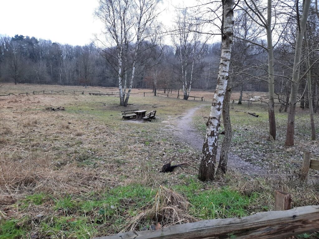 Viel unberührte Natur rund um Bergedorf