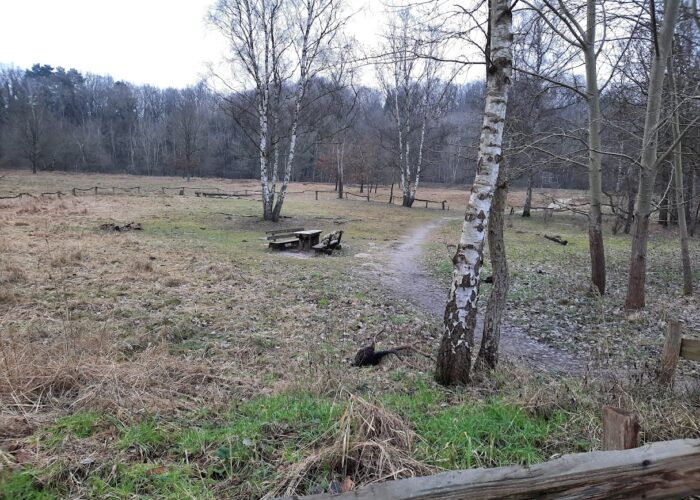 Viel unberührte Natur rund um Bergedorf